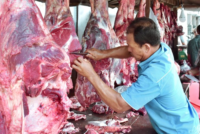 Meugang Ramadhan, Sabang Potong 76 Ekor Sapi dan 3 Kerbau